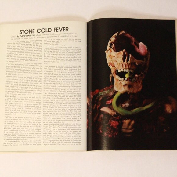 Vintage Art Playboy Memorabilia Home Decor Supermodel 70's - Picture 3 of 5